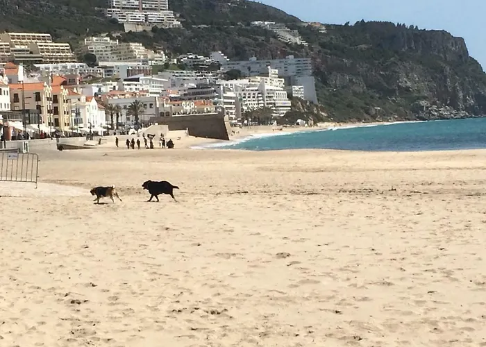 Διαμέρισμα Casa Vista Azul *